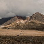 Tendances de l’hôtellerie de luxe 2026 : La quête d’expériences de meilleure qualité à moindre coût